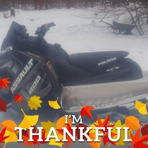 Meet your Posher, Robert